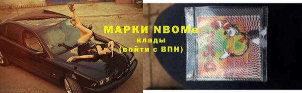 прущие грибы Алексин