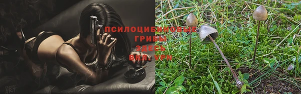 СК Абаза