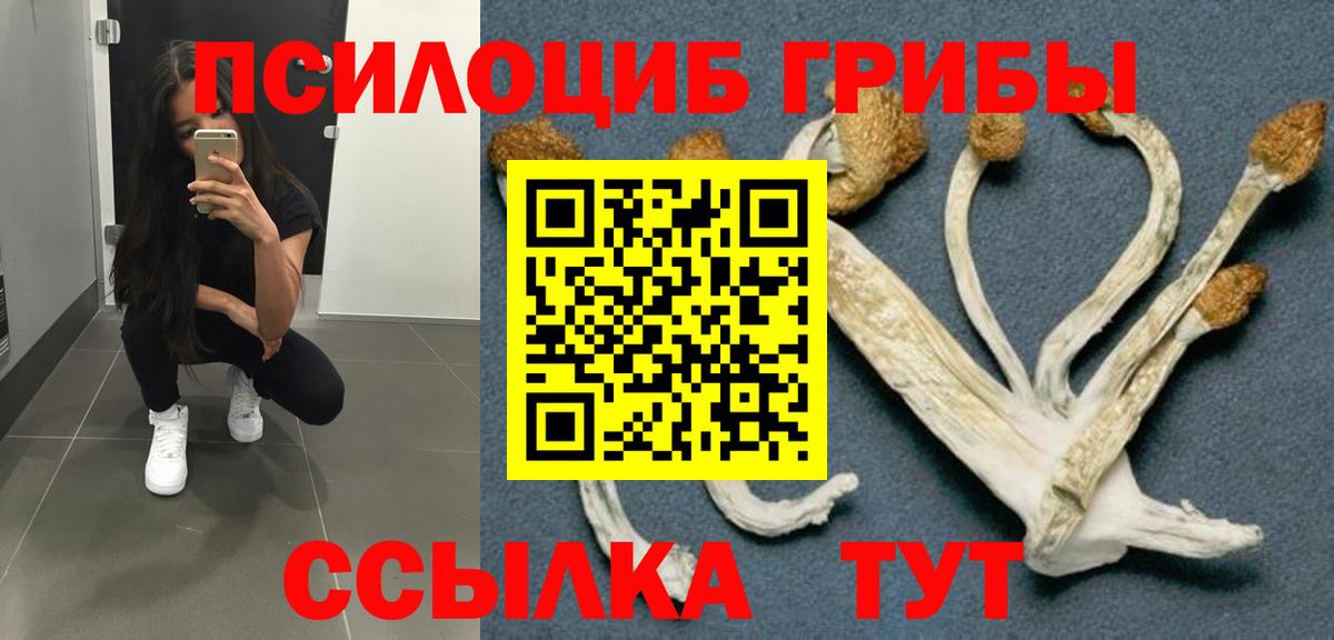 Псилоцибиновые грибы прущие грибы Бийск